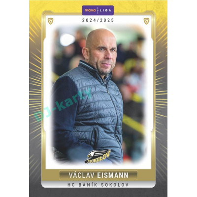 2024/25 Goal Cards Maxa liga 1. série #SOK-24 Václav Eismann Parallel 1of40