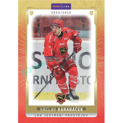 2024/25 Goal Cards Maxa liga 1. série #PRO-19 Václav Karabáček Parallel 1of15