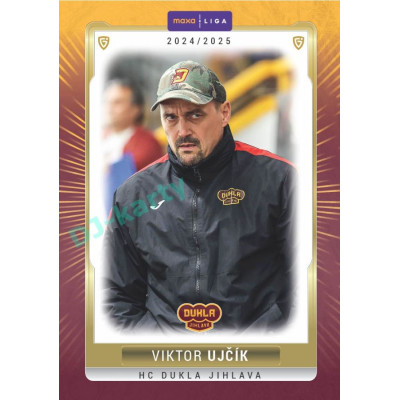 2024/25 Goal Cards Maxa liga 1. série #JIH-21 Viktor Ujčík Parallel 1of40