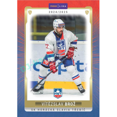 2024/25 Goal Cards Maxa liga 1. série #TRE-16 Vítězslav Brož Parallel 1of15