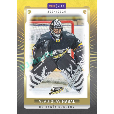 2024/25 Goal Cards Maxa liga 1. série #SOK-01 Vladislav Habal Parallel 1of15
