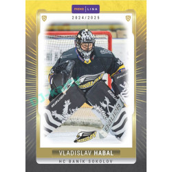 2024/25 Goal Cards Maxa liga 1. série #SOK-01 Vladislav Habal Parallel 1of40
