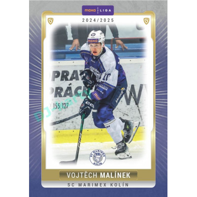 2024/25 Goal Cards Maxa liga 1. série #KOL-20 Vojtěch Malínek Parallel 1of15