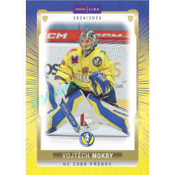 2024/25 Goal Cards Maxa liga 1. série #PRE-02 Vojtěch Mokry Parallel 1of40