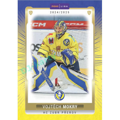2024/25 Goal Cards Maxa liga 1. série #PRE-02 Vojtěch Mokry Parallel 1of40