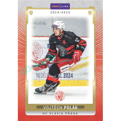 2024/25 Goal Cards Maxa liga 1. série #SLA-19 Vojtěch Polák Parallel 1of40