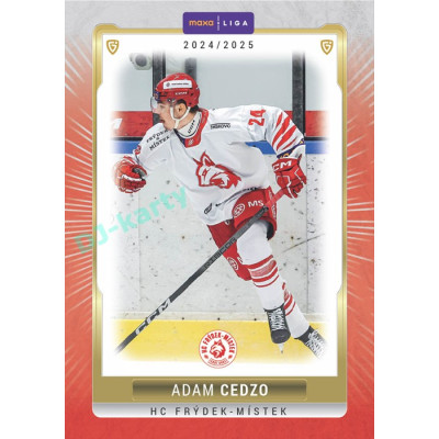2024/25 Goal Cards Maxa liga 1. série #FMI-18 Adam Cedzo