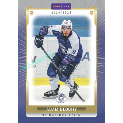 2024/25 Goal Cards Maxa liga 1. série #KOL-13 Adam Dlouhý