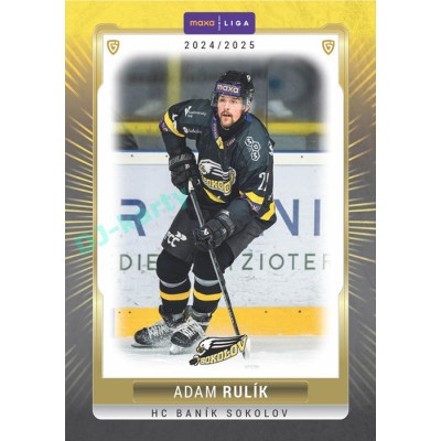2024/25 Goal Cards Maxa liga 1. série #SOK-08 Adam Rulík