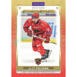 2024/25 Goal Cards Maxa liga 1. série #PRO-09 Aleš Poledna
