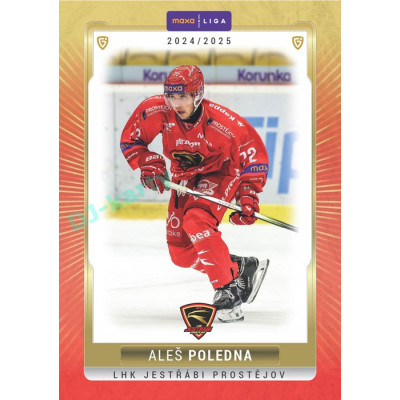 2024/25 Goal Cards Maxa liga 1. série #PRO-09 Aleš Poledna