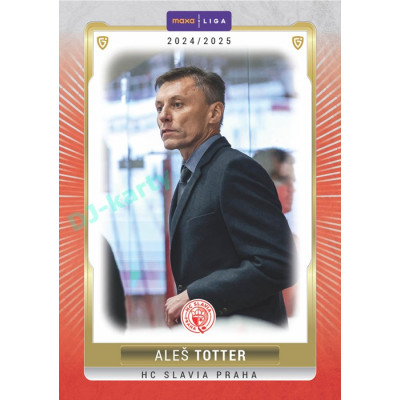 2024/25 Goal Cards Maxa liga 1. série #SLA-25 Aleš Totter