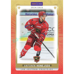 2024/25 Goal Cards Maxa liga 1. série #PRO-20 Antonín Honejsek