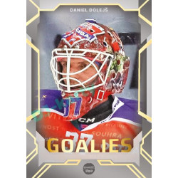 2023/24 Goal cards Chance Liga 2. série #G-11 Daniel Dolejš Goalies