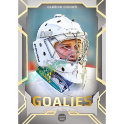 2023/24 Goal cards Chance Liga 2. série #G-12 Oldřich Cichoň Goalies