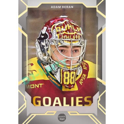 2023/24 Goal cards Chance Liga 2. série #G-14 Adam Beran Goalies