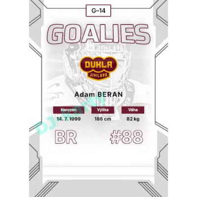2023/24 Goal cards Chance Liga 2. série #G-14 Adam Beran Goalies