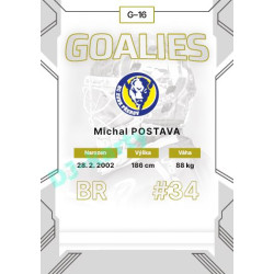2023/24 Goal cards Chance Liga 2. série #G-16 Michal Postava Goalies