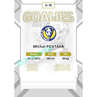 2023/24 Goal cards Chance Liga 2. série #G-16 Michal Postava Goalies