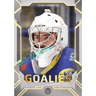 2023/24 Goal cards Chance Liga 2. série #G-18 Josef Němeček Goalies