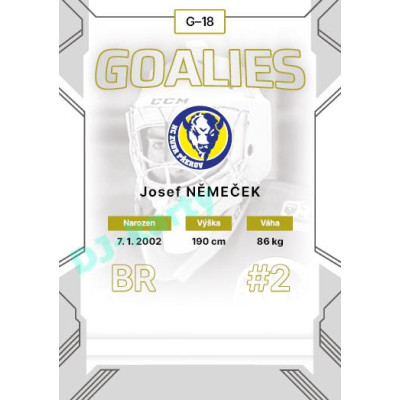 2023/24 Goal cards Chance Liga 2. série #G-18 Josef Němeček Goalies
