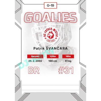 2023/24 Goal cards Chance Liga 2. série #G-19 Patrik Švančara Goalies
