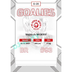 2023/24 Goal cards Chance Liga 2. série #G-20 Vojtech Mokry Goalies