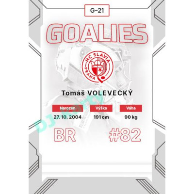 2023/24 Goal cards Chance Liga 2. série #G-21 Tomáš Volevecký Goalies