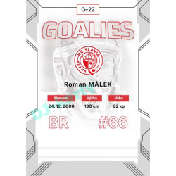 2023/24 Goal cards Chance Liga 2. série #G-22 Roman Málek Goalies