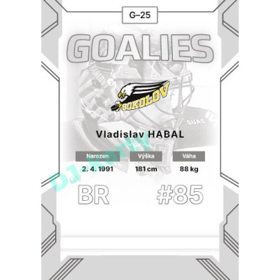 2023/24 Goal cards Chance Liga 2. série #G-25 Vladislav Habal Goalies