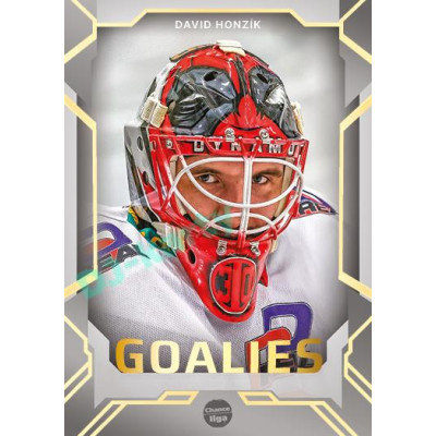 2023/24 Goal cards Chance Liga 2. série #G-28 David Honzík Goalies