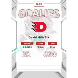 2023/24 Goal cards Chance Liga 2. série #G-28 David Honzík Goalies