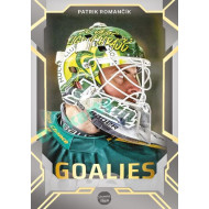 2023/24 Goal cards Chance Liga 2. série #G-04 Patrik Romančík Goalies