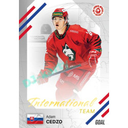 2023/24 Goal cards Chance Liga 2. série #IN-24 Adam Cedzo International