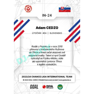 2023/24 Goal cards Chance Liga 2. série #IN-24 Adam Cedzo International