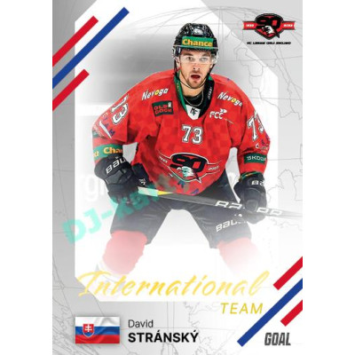2023/24 Goal cards Chance Liga 2. série #IN-29 David Stránský International
