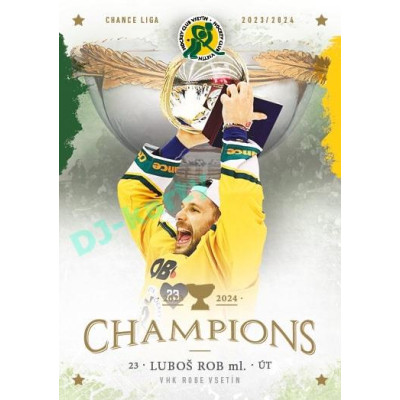 2024 Goal Cards Vsetín Champions #12 Luboš Rob ml.