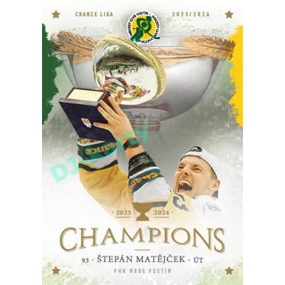 2024 Goal Cards Vsetín Champions #16 Štěpán Matějček
