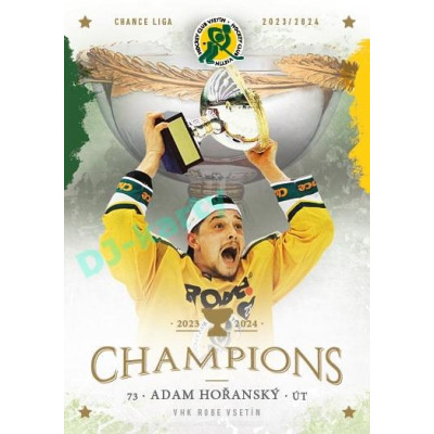 2024 Goal Cards Vsetín Champions #20 Adam Hořanský