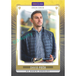 2024/25 Goal Cards Maxa liga 1. série #SOK-26 David Fečo