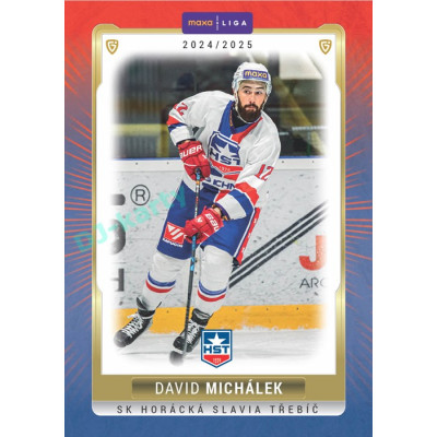 2024/25 Goal Cards Maxa liga 1. série #TRE-21 David Michálek