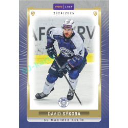 2024/25 Goal Cards Maxa liga 1. série #KOL-03 David Sýkora