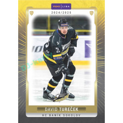 2024/25 Goal Cards Maxa liga 1. série #SOK-04 David Tureček