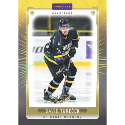 2024/25 Goal Cards Maxa liga 1. série #SOK-04 David Tureček