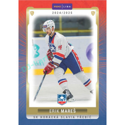 2024/25 Goal Cards Maxa liga 1. série #TRE-08 Erik Mareš