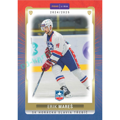 2024/25 Goal Cards Maxa liga 1. série #TRE-08 Erik Mareš