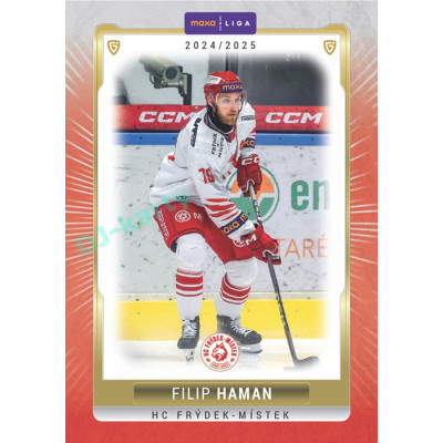 2024/25 Goal Cards Maxa liga 1. série #FMI-03 Filip Haman