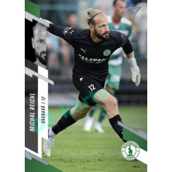 2023/24 Sportzoo Fortuna Liga 1. série #043 Michal Reichl