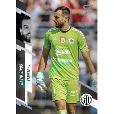 2023/24 Sportzoo Fortuna Liga 1. série #115 Dávid Šípoš