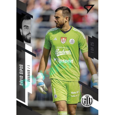 2023/24 Sportzoo Fortuna Liga 1. série #115 Dávid Šípoš Black Camouflage 1of25